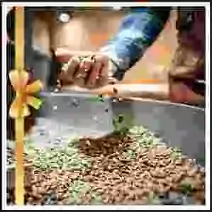 Carte cadeau - Montant libre