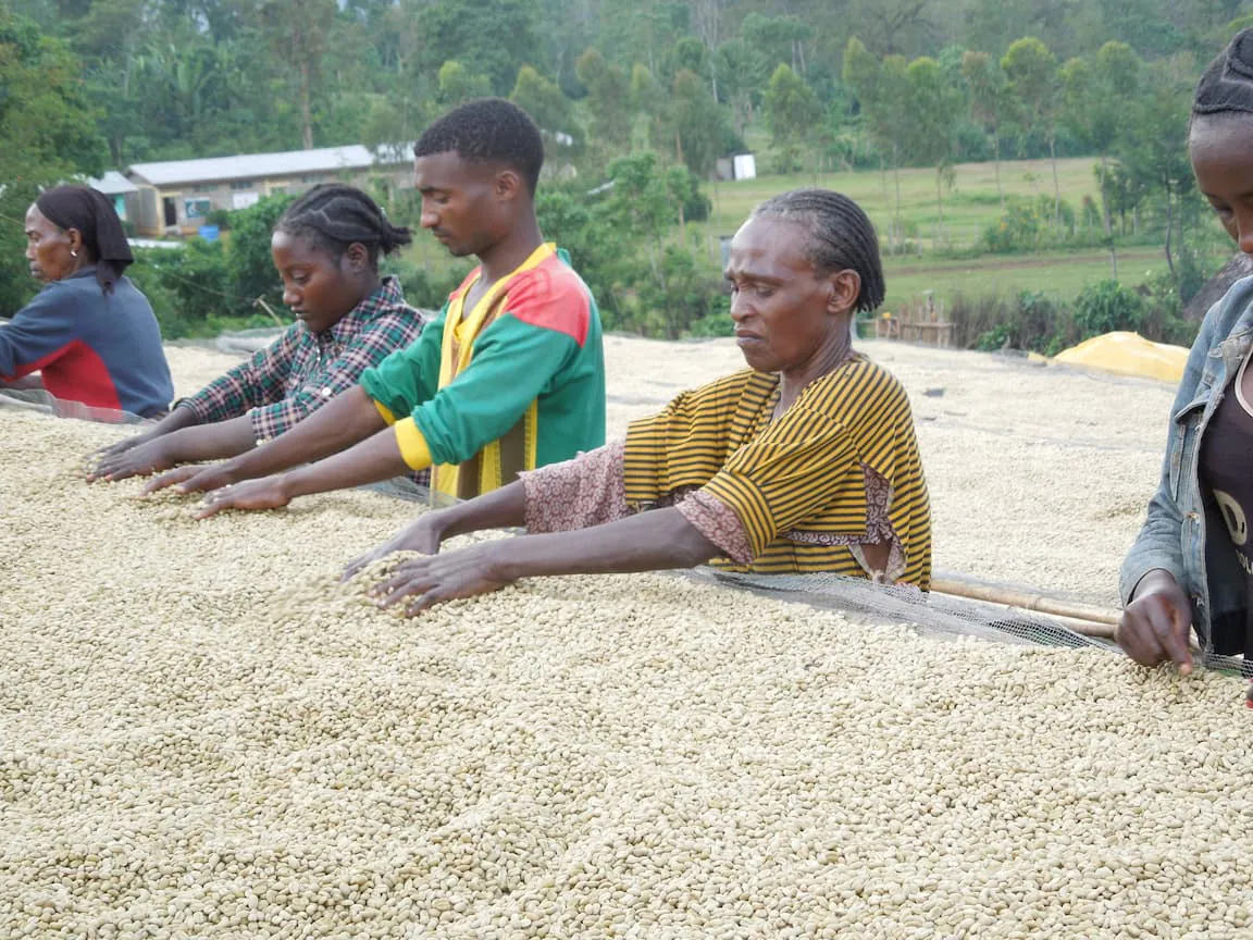 cafe_abonnement_montagne_cafes