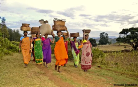 inde-bio-yirgacheffe-cafe-de-specialite-montagne-cafes-alpes-haute-savoie_1_