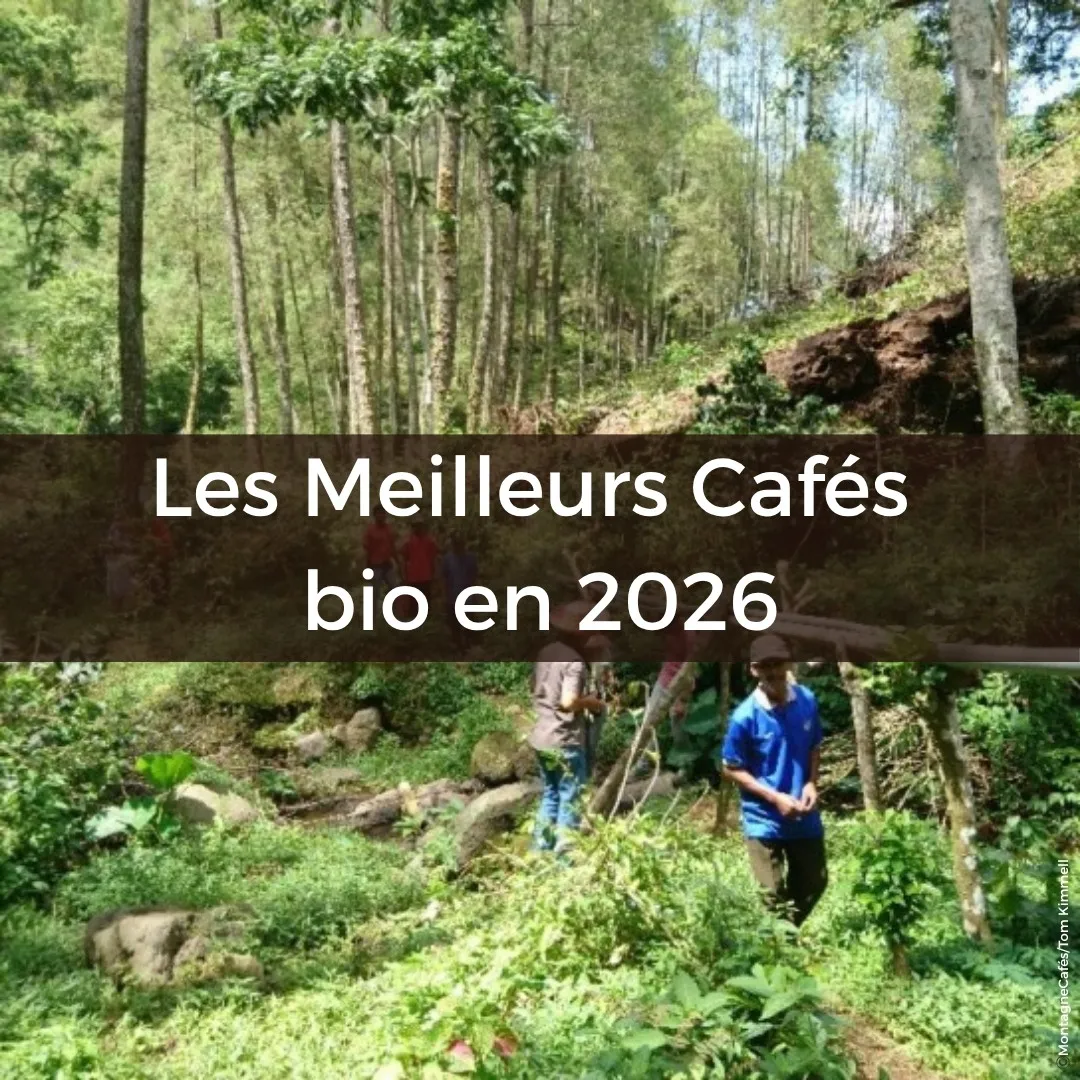 Montagne_Caf_s_caf_s_de_sp_cialit_bio_quitable_haute_savoie_8_