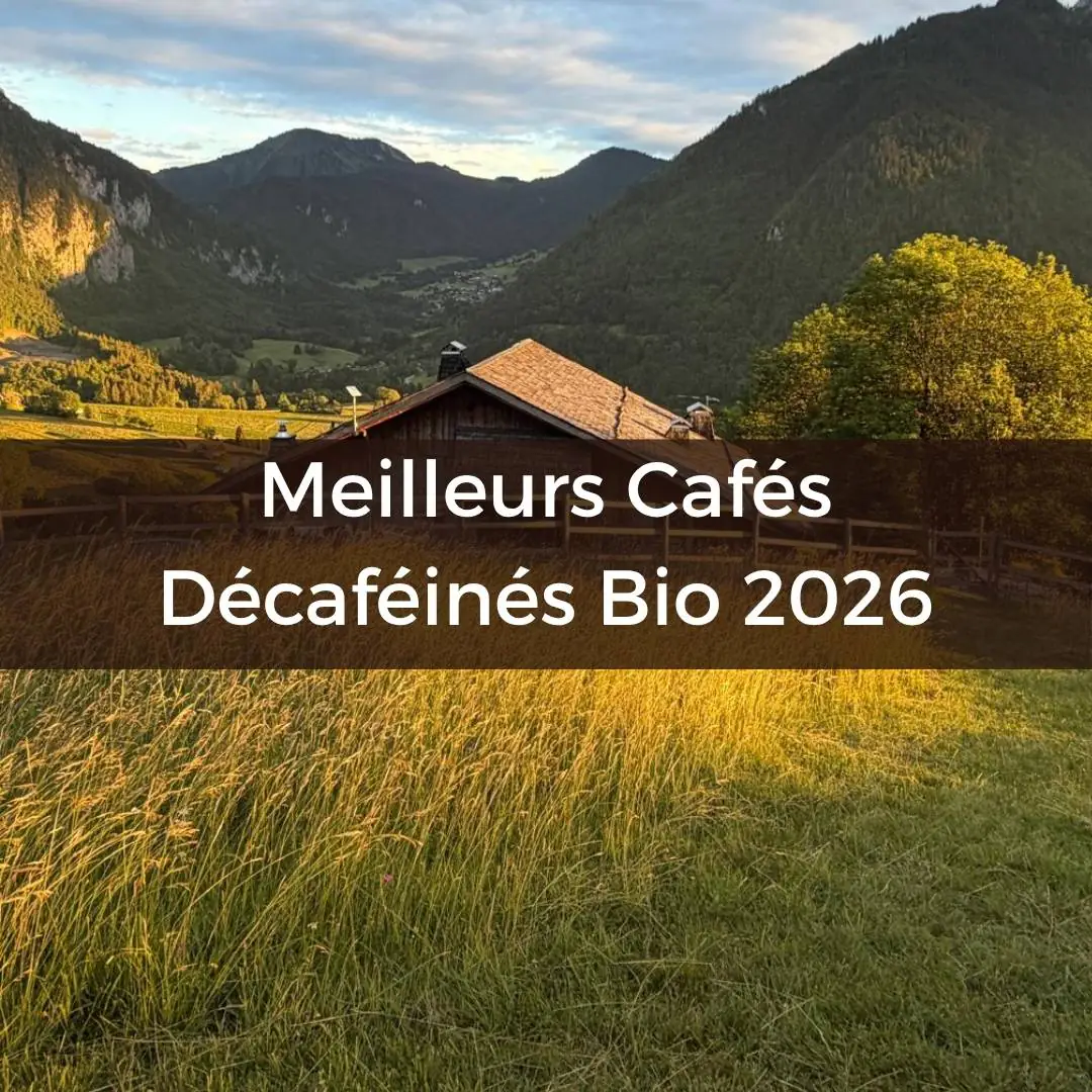 meilleurs-cafes-decafeines-bio-equitables