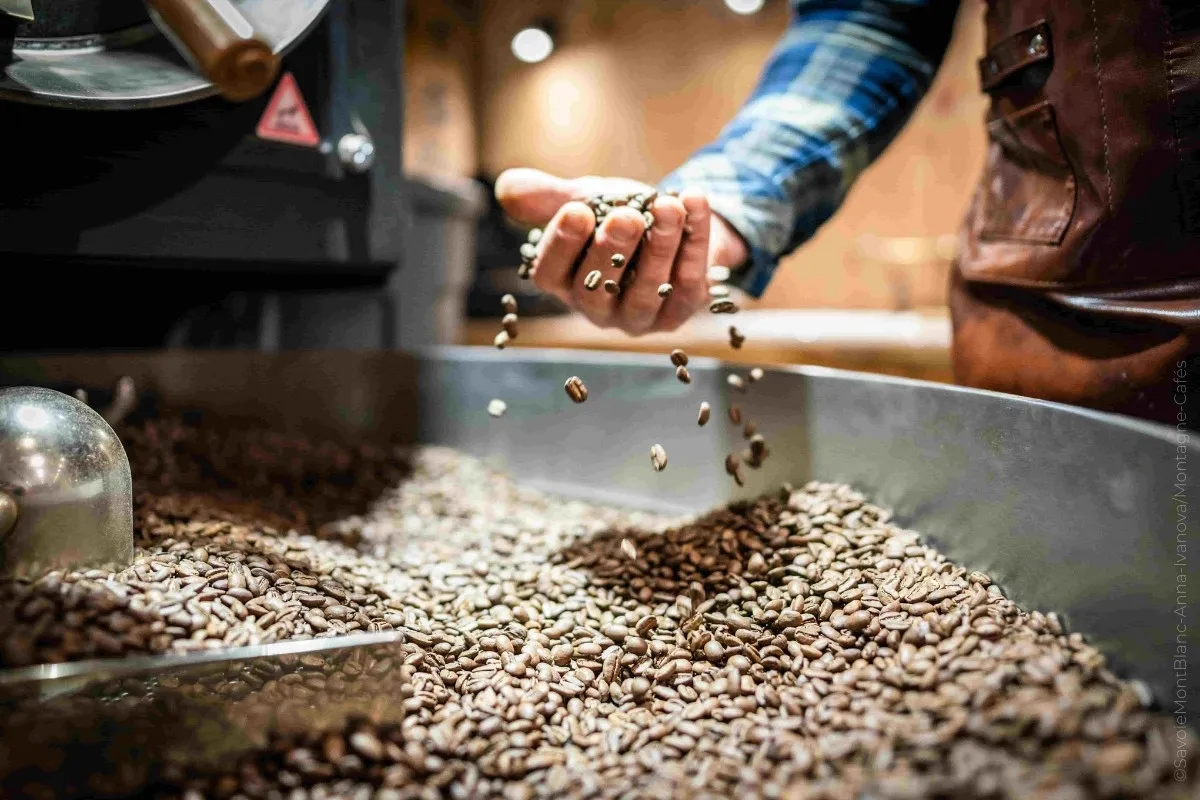 atelier-decouverte-cafe