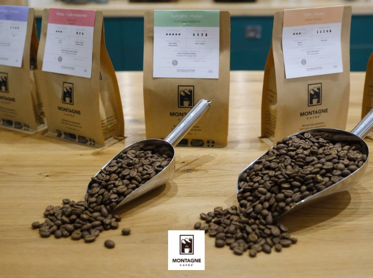 café en grain bio et équitable