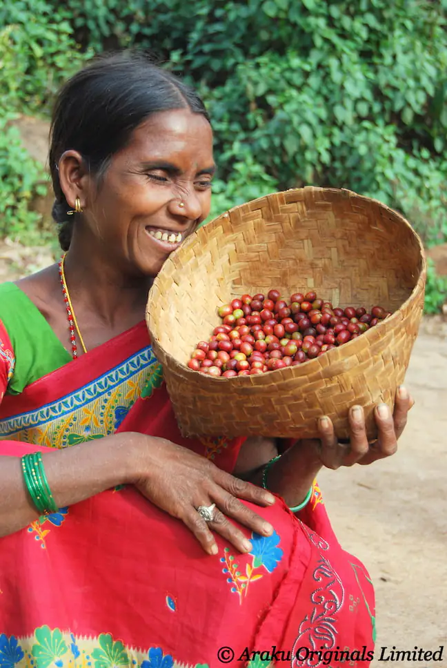 inde-bio-yirgacheffe-cafe-de-specialite-montagne-cafes-alpes-haute-savoie_22_